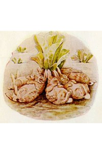 The Tale of the Flopsy Bunnies